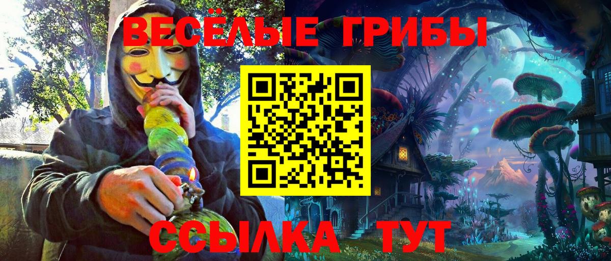 Псилоцибиновые грибы GOLDEN TEACHER  Вход с VPN  Псилоцибиновые грибы Psilocybe  Зеленогорск 
